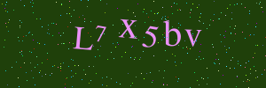Validation image